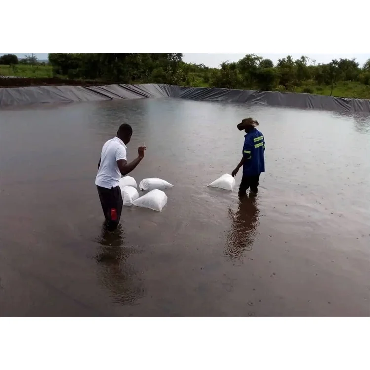 Pond Liner Geotextile Tarpaulin Fish Tanks Hdpe Membranes Geomembranas Hdpe 2 mm Geomembrane