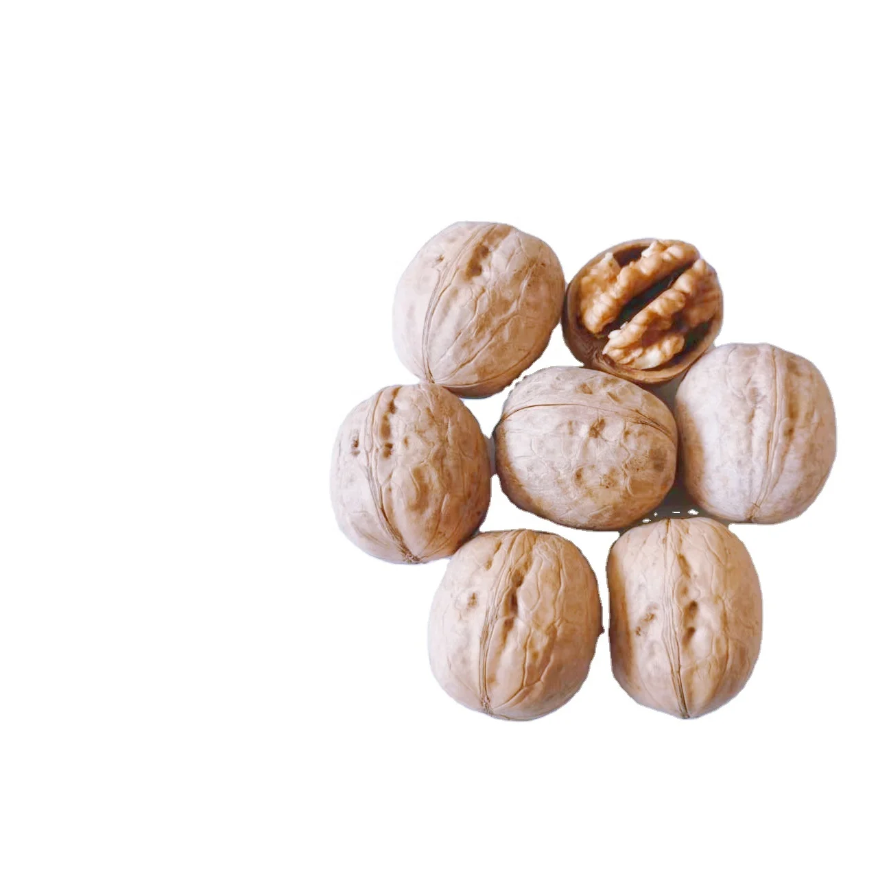 Wholesale a Large Hight Quality Organic Walnuts and Walnut Kernels Halves From Xinjiang