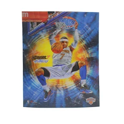 Custom 3D Posters 3D / 5D Lenticular Pictures  3D Logo Printing and Advertisement