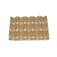 2021 New style molded pulp tray/empty egg cartons