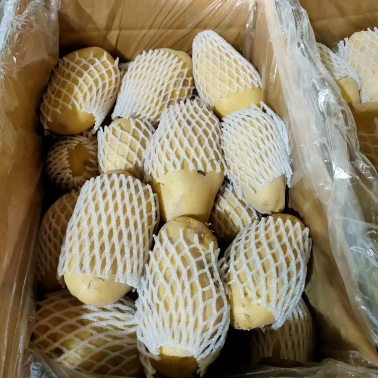 2022 new harvest fresh potato manufacturer low price potato  new crop fresh Holland potato