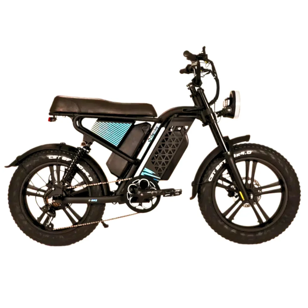 Full Suspension 48v 20Ah 40Ah 750w 1000w Dual Battery  Electric Bike 1000W  Bicycle Electric E-bike  for Adult Beach Bike