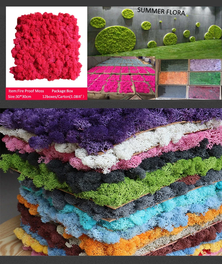 wholesale preserved flowers and plants natural real moss wall art green stabilized reindeer preserved moss wall for decor