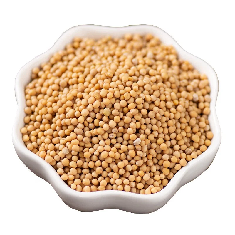 Qingchun Spices Factory Direct Sales yellow mustard  Spices whole mustard seeds