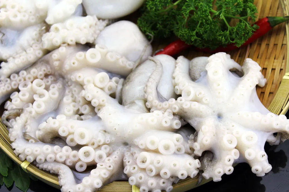 
High quality whole round frozen baby octopus for sale 
