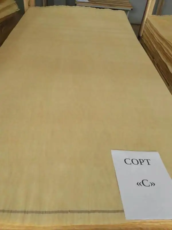 Songchuan 0.28mm Russia Baltic Birch Wood Face Veneer D+ E C grade at Cheap Price