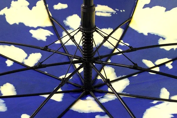 Hand open curved classic J-handle umbrella automatic open windproof transparent firm umbrella, sky blue