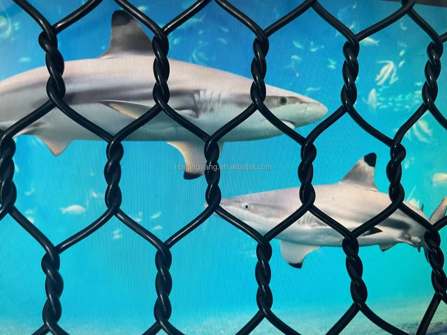 Europe standard Aquaculture Net Cage machine deep sea farming Fishery Machinery