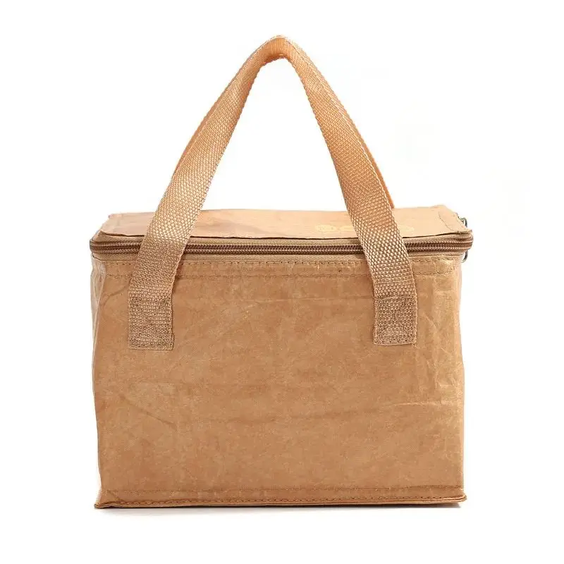 New Design Waterproof Frozen Lunch Bag For Children Dupont Paper Kraft Paper Lunch Bag For Adults