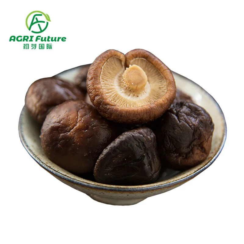 Factory Wholesale Good Quality Dried Small Shiitake