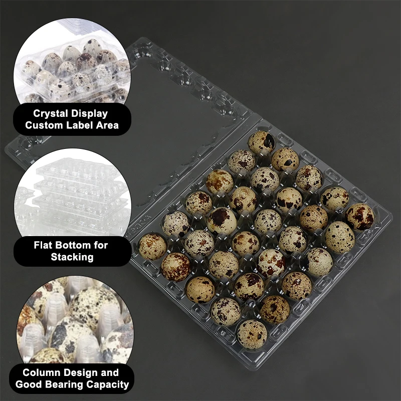 Plastic Quail Egg Packaging Suppliers Plastic Quail Egg Tray 30 Holes Manufacturer