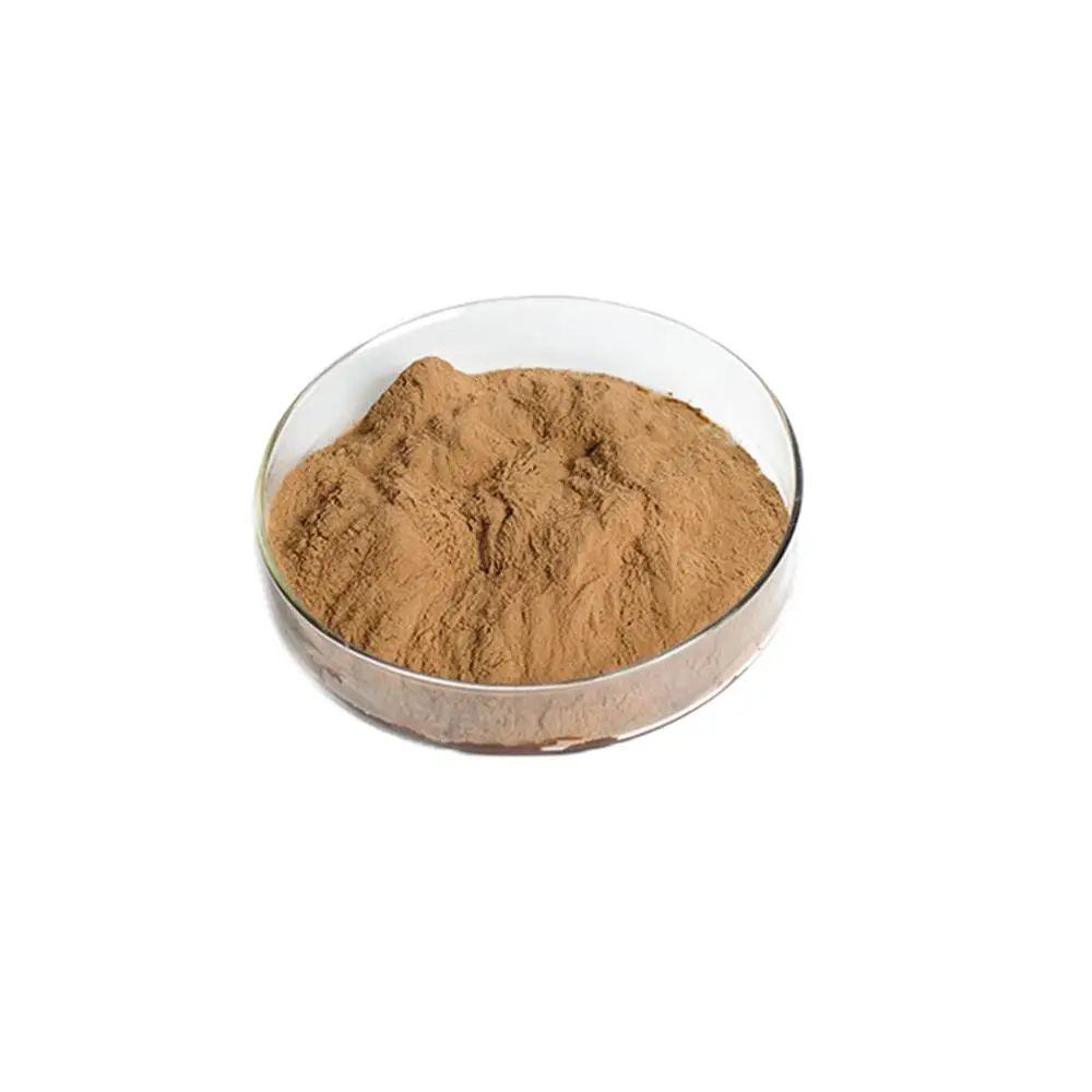 ISO сертифицированный производитель, органический порошок экстракта гриба льва