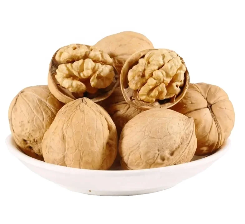 Top Quality High Kernel Rate Factory Price Xinjiang Chinese Walnut In Shell