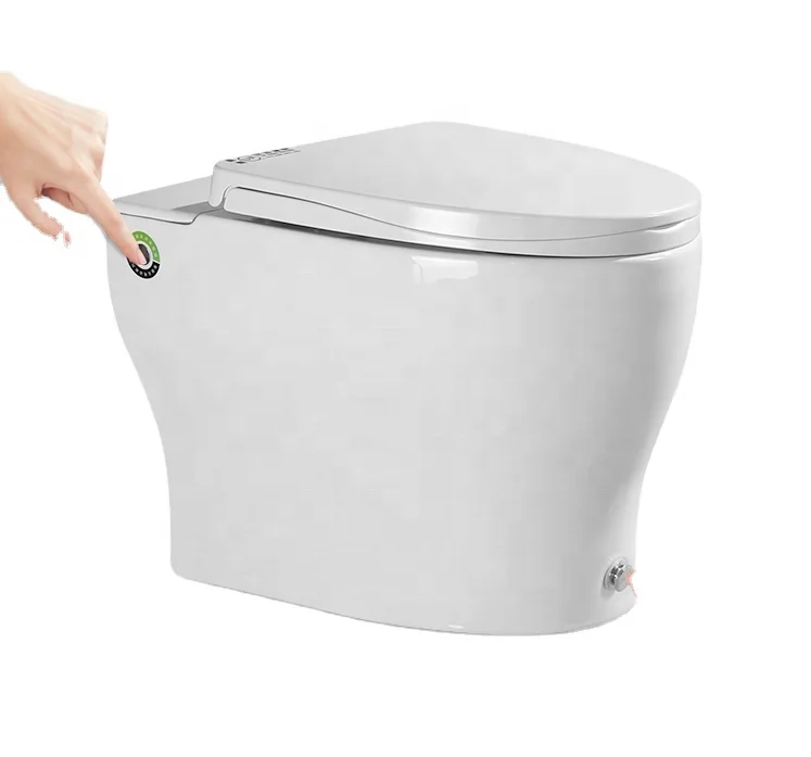 
2021 Small Bathroom Ceramic Tankless Concealed p-trap Cistern Pulse Toilet Closet 