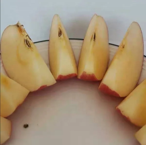 Китайский знаменитый бренд, красный, дешевый, оптовая продажа, Fuji, большой размер, продукт с высоким содержанием витаминов, Свежий фрукт, хрустящий вкус, зрелое яблоко