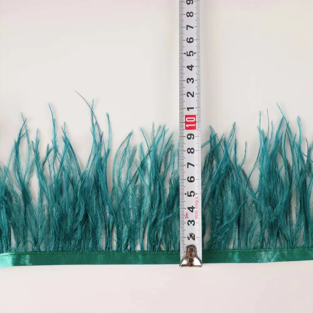 Stock Color 8-10cm Ostrich Cloth Edge Clothing Accessories Products Accessories High Quality Ostrich Feathers Fringes