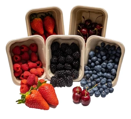 Reusable Biodegradable Bagasse Lunch Tray Eco-Friendly Sugarcane Plate Box for Dishes & Plates