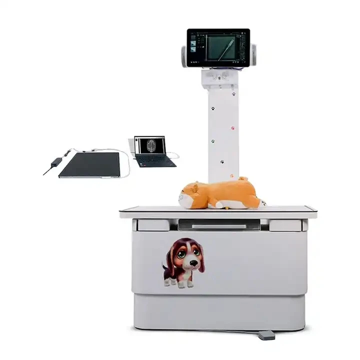 Medical Xray System Digital Vet X Ray High Frequency Veterinary X-ray Machine with Panels