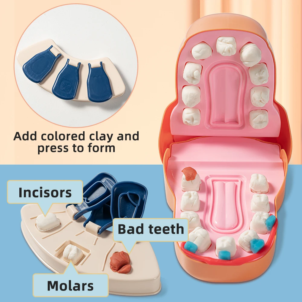 Banatoy Dentist Toys Orthodontic and Role Play 2 in 1 Dental Office Toy Set 16PCS Pretend Play Doctor Toys for Kids