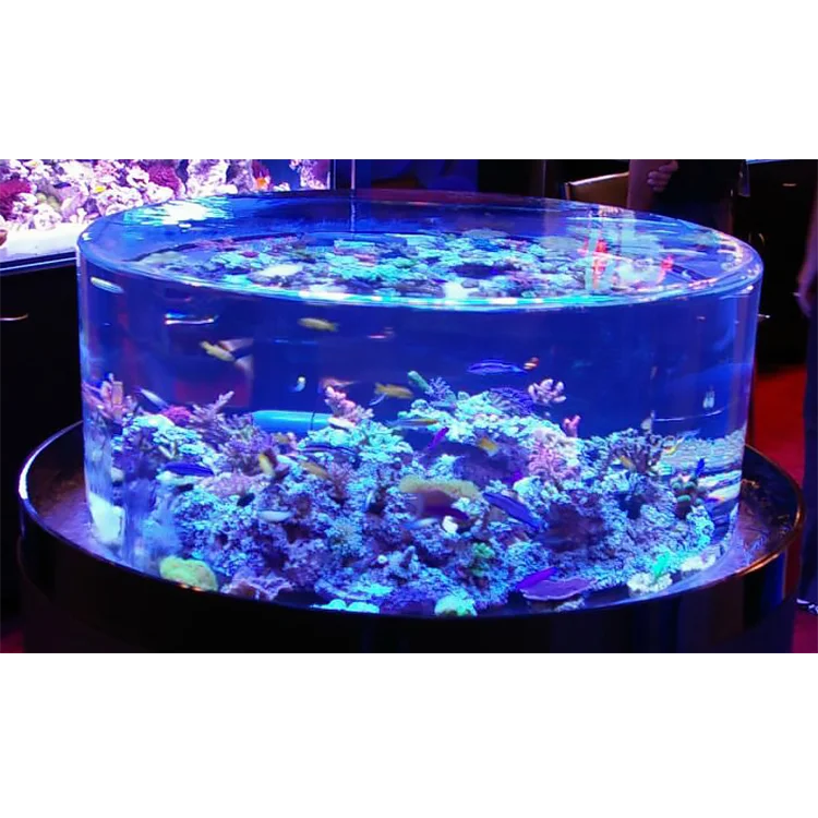 Live Marine Beautiful And Unique Acrylic Fish Bowl, Giant Aquarium For Mermaid#