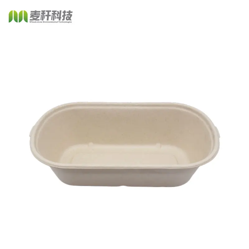 Disposable Biodegradable sugarcane bagasse pulp food container take away Lunch Box with lid