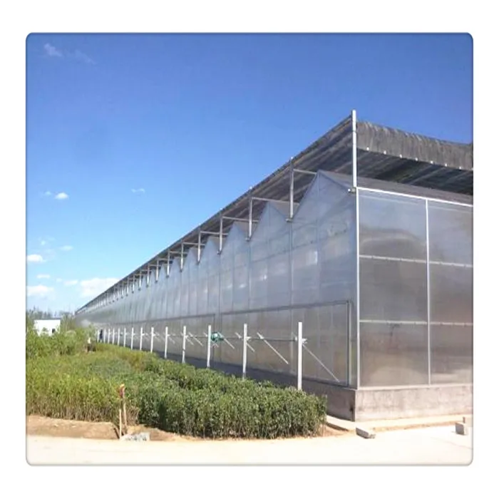 Factory Manufacture Galvanized Tube Steel Structure Venlo Multi Span Vegetable Polycarbonate Greenhouse