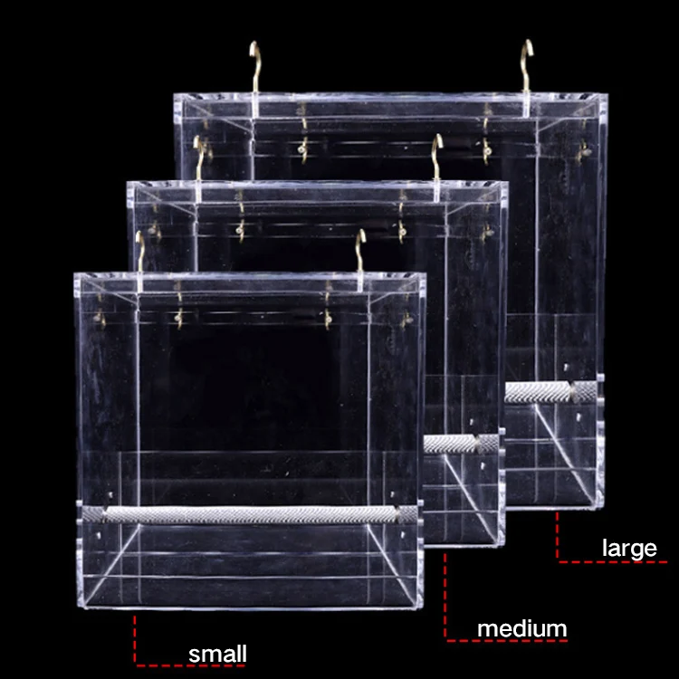 Acrylic Parrot No Mess Feeding Device Seed Food Container Birds Drop Shipping Squirrel Proof Feeder
