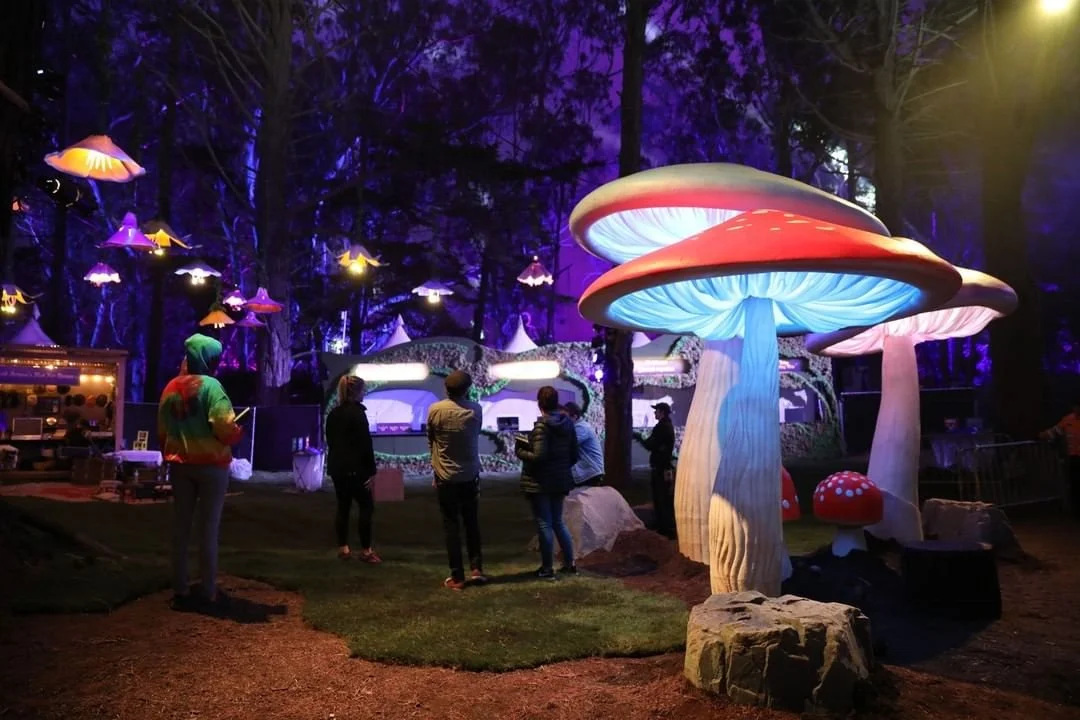 IP65 RGB 12V Mushroom Shape Landscape Lights Festival Decorative Lights Holiday Decoration Lights