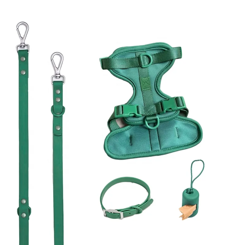 2023 Wholesale Custom Logo Sublimation Patterns Dog Leash Collar and Harness Set With Quick Release Plastic