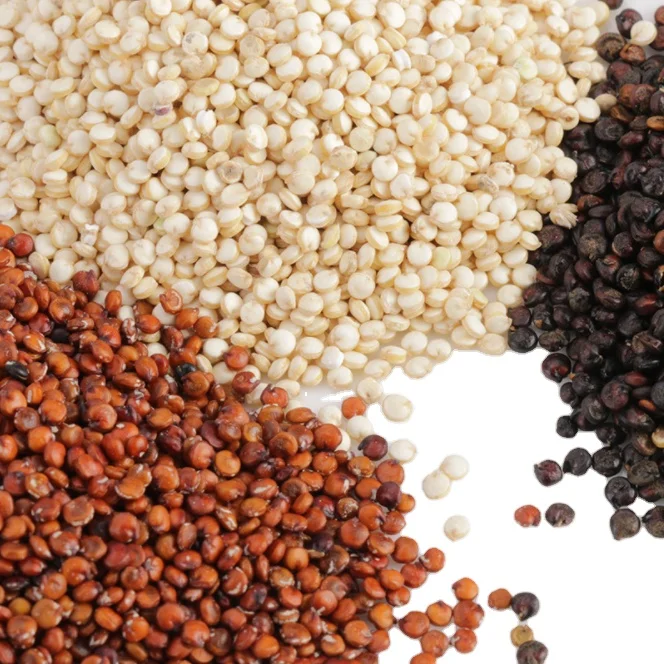 Hot Selling Organic White and Black Quinoa Grain at low Price Bulk Supply New Arrival Best Price Certified White Organic Quinoa