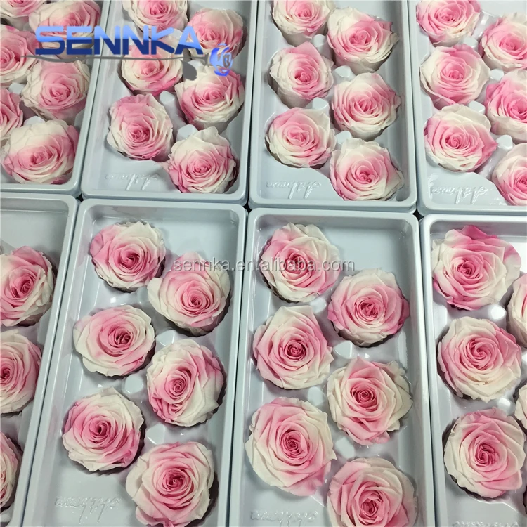 2019 best price China supplier preserved rainbow roses wholesale eternity roses for Christmas