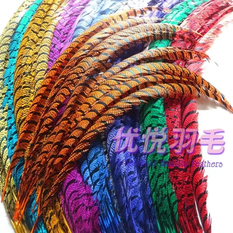 wholesale Top Quality  lady zebra pheasant ringneck reeves  tail feather  for Carnival samba decoration