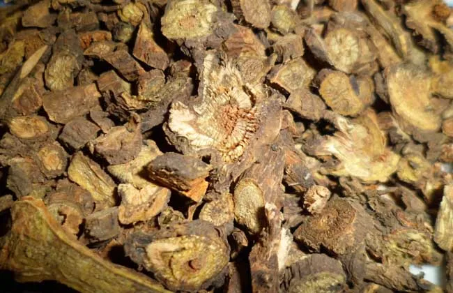 EXW price Baikal skullcap root extract 90% Baicalin in bulk