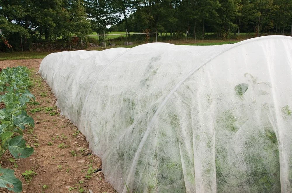 Agriculture non-woven fabric spunbonded polypropylene nonwoven fabric protection green plant