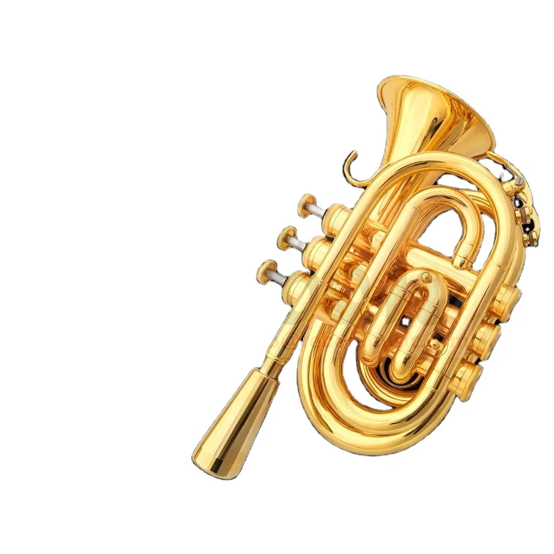 Weifang Rebon Bb Key Gold-plated Yellow Brass mini Trumpet