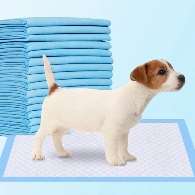 free sample and free shipment novel pet products 2024 new arrival best sale dog pee training pads  dog diapers