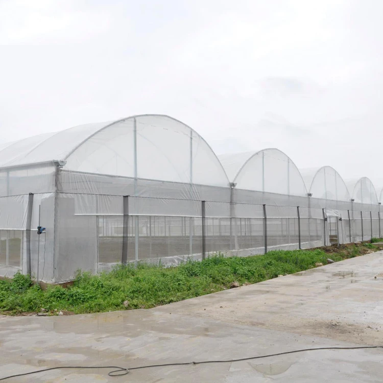 Good Quality And Easily Installed Agricultural/Commercial Green House Greenhouse