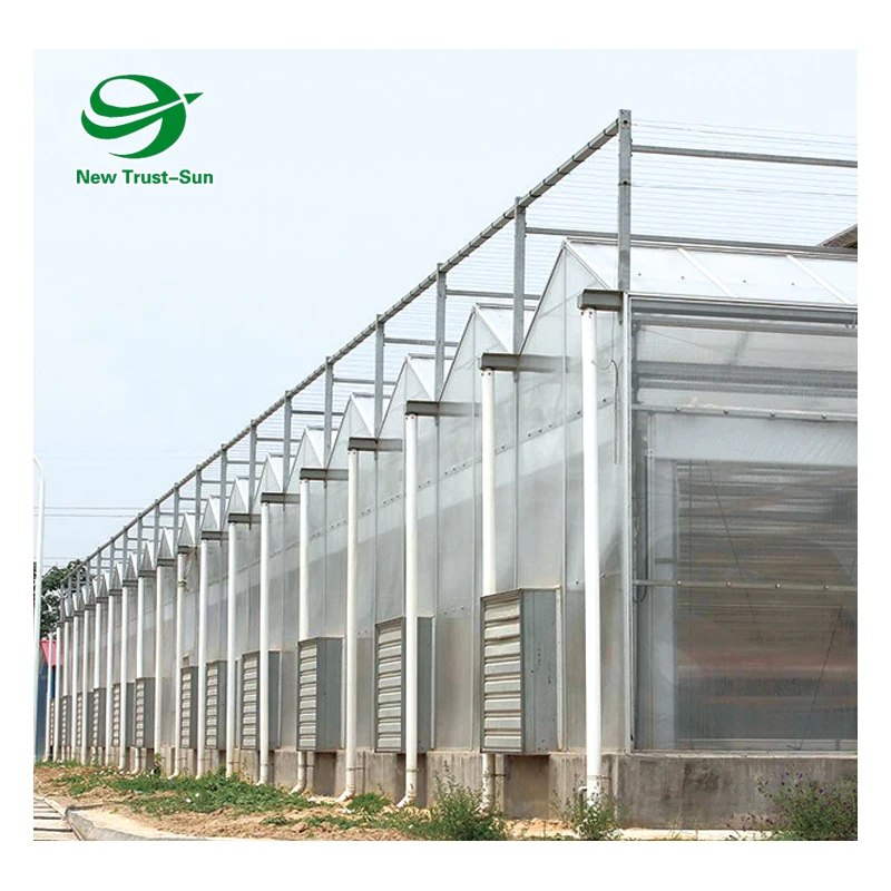 
Low Cost Nutrient Film Teechnique(NFT) Hydroponics for PC Polycarbonate Greenhouse 