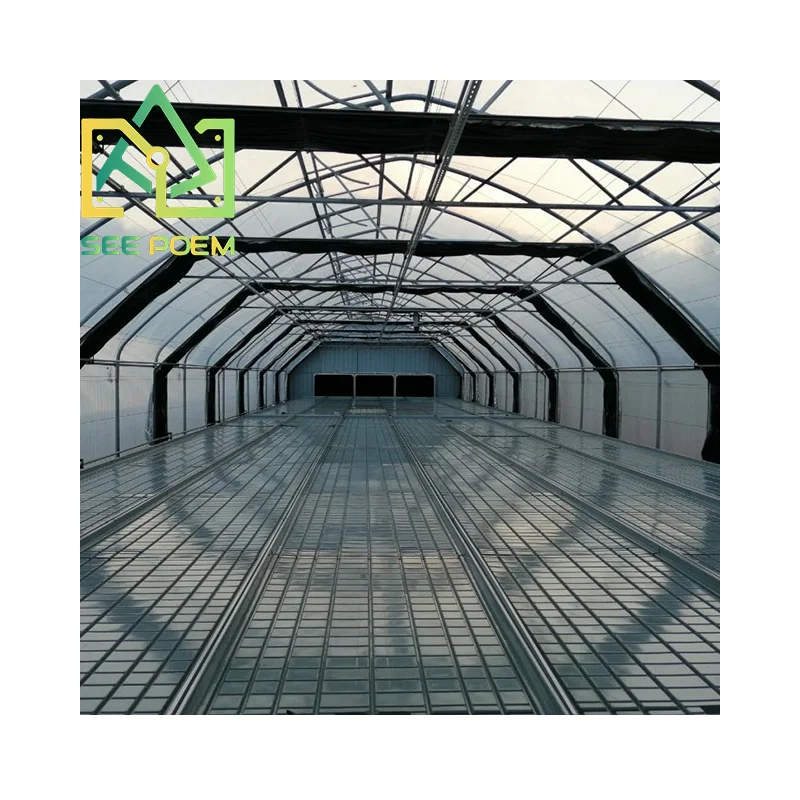 Skyplant Greenhouse Blackout System Grow Light HPS DE 1000w Hydroponic Grow System Greenhouse