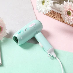 Hot sale factory direct oem hair travel case mini hair dryer Cheap Price