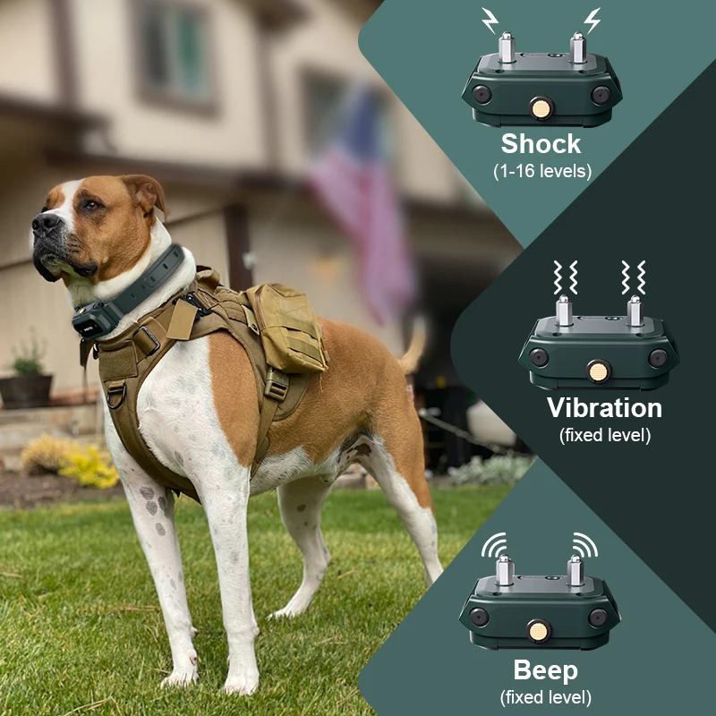 PATPET Dog Training Collar Professional Training Electric Shock Bee Tie Remote Control Pet Training Behavior Products