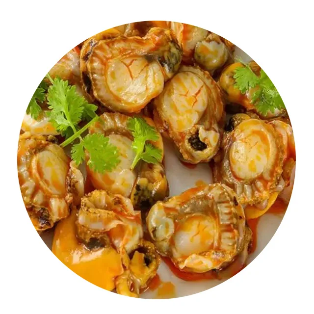 New Season Frozen Quality Frozen Scallop Meat
