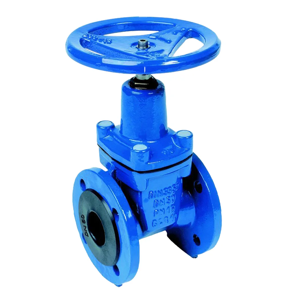 Tianjin Goldensea Manufacture Resilient Seated Flanged Gate Valves Cast iron gate valve