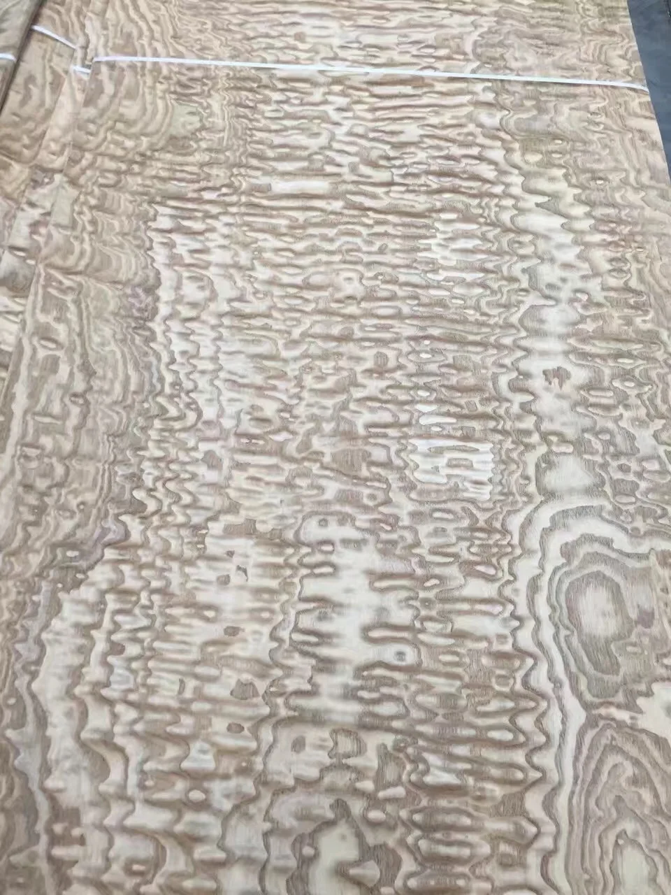 Exotic Chinese Ash Burl Wood Veneer for Wood Door