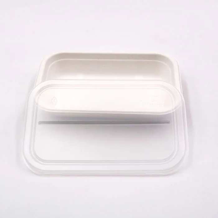 disposable sugarcane bagasse food tray with plastic cover lid