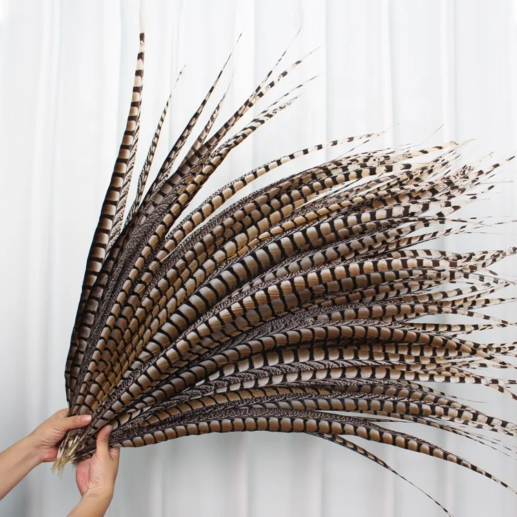 Factory Wholesale 90-100 cm Pheasant Feather Dyed Lady Amherst Feather For Decoration