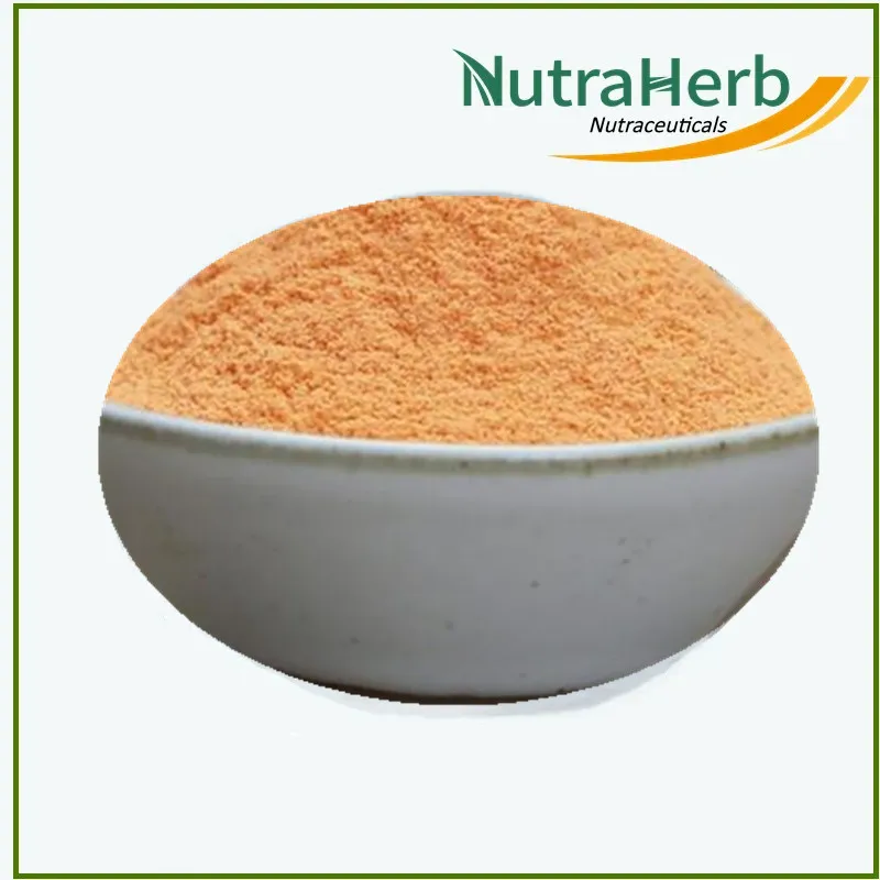 Chinese Wolfberry Wholesale Pure Wolfberry Extract 10%-50% Polysaccharides Goji Berry Powder Natural Lycium Barbarum Extract