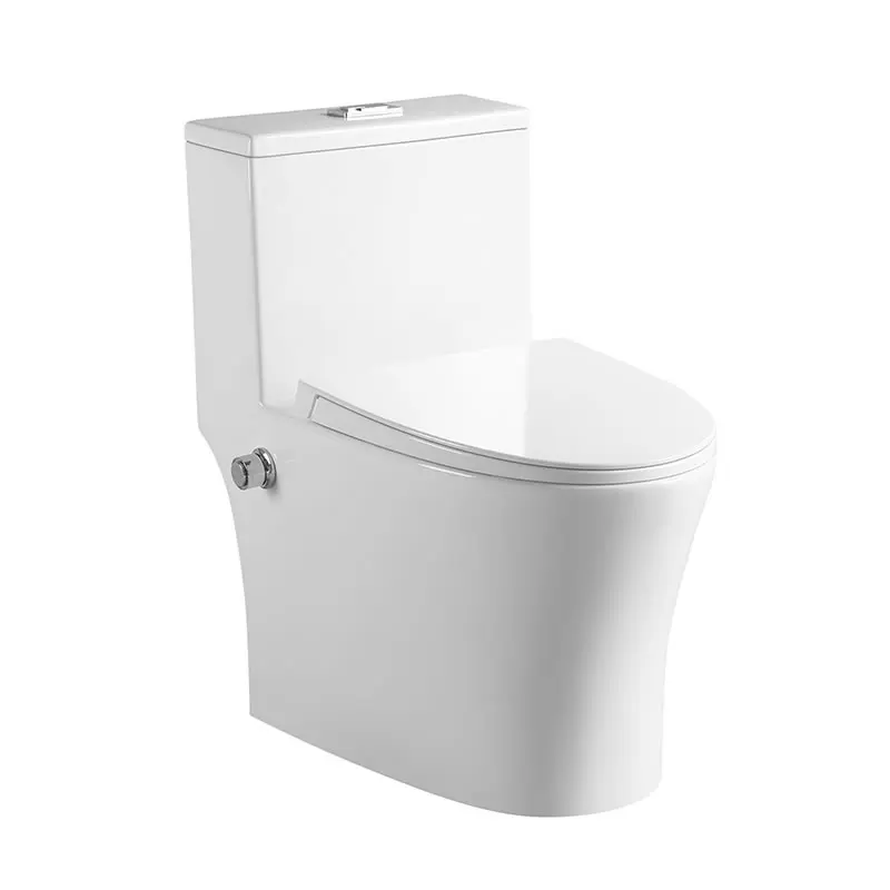 Bidet Toilet Modern Design Bathroom Washdown Rimless One Piece Ceramic UF Material Soft Closing Seat Bidet Wash Floor Mounted
