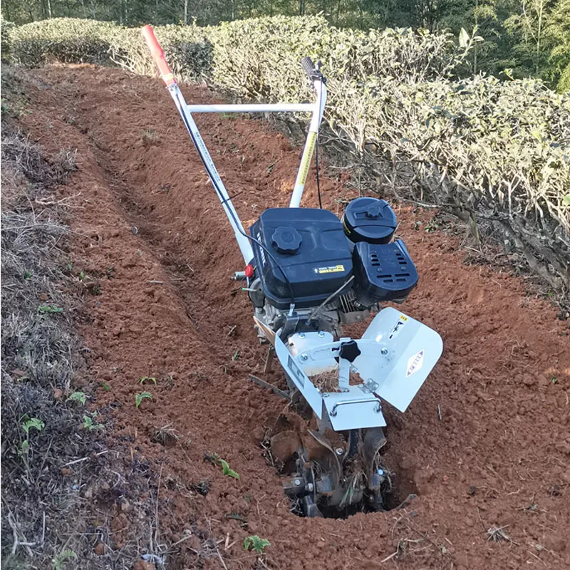 
Top Rank Profession Agricultural Machinery Agriculture Machine Farm Use Cultivators Rotary 6Hp Mini Power Tiller Hoe Cultivator 