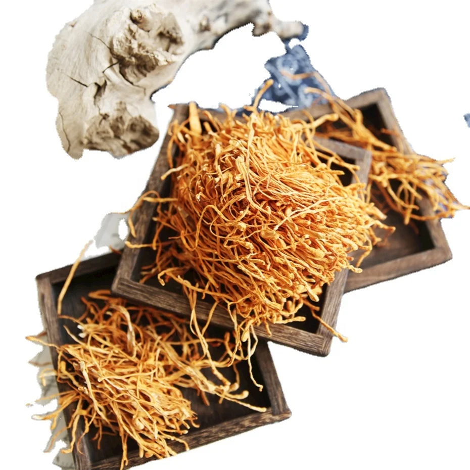 New arrival  Dried Cordyceps High Quality Cordyceps Mushroom Cordiceps Cordyceps Sinensis